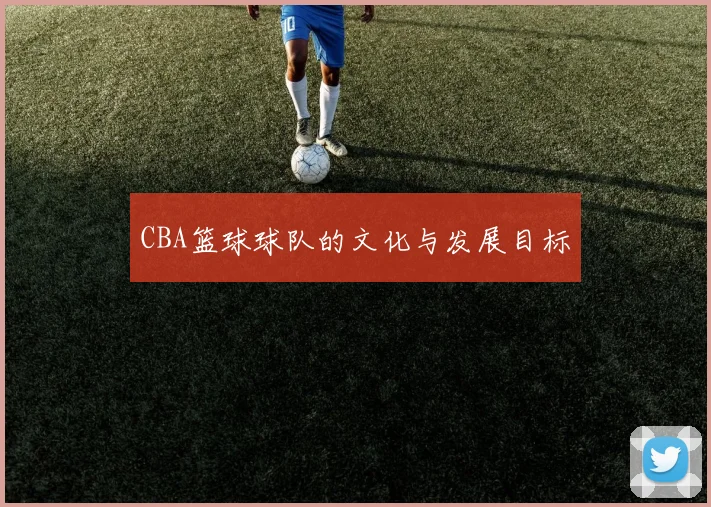 CBA篮球球队的文化与发展目标