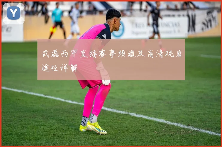 武磊西甲直播赛事频道及高清观看途径详解