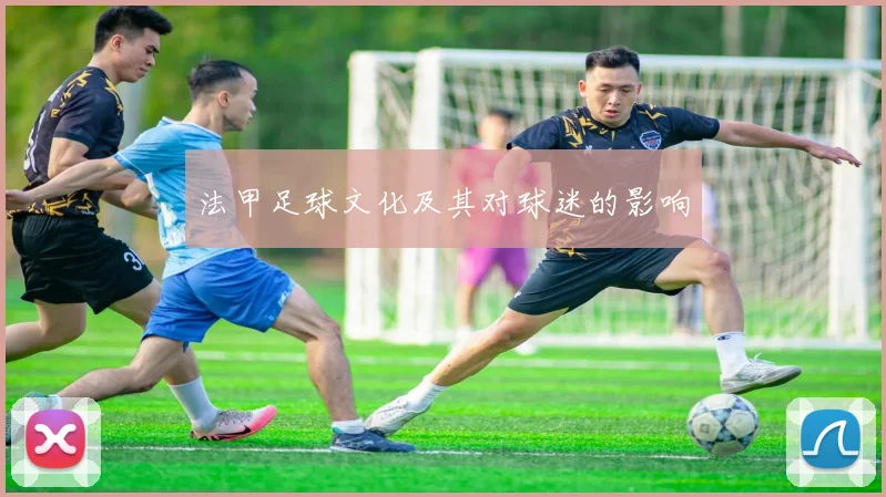 法甲足球文化及其对球迷的影响